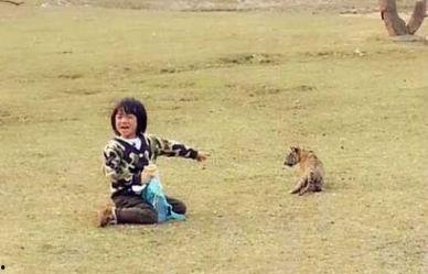 电影花絮在哪买