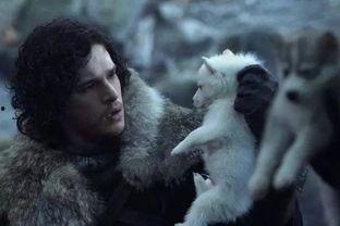 季永远的资料,探寻中国当代艺术家的创新之路