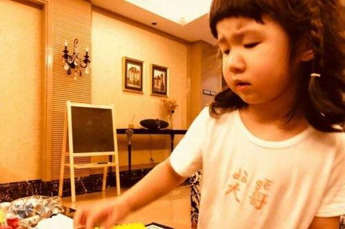 张亮个人资料女儿照片,星二代风采初露